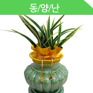 ������ ī�װ��� #3