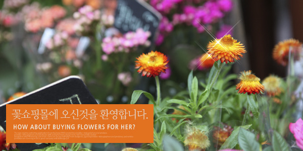 �Ұ��̹���